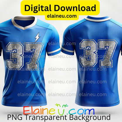 Silver Metallic Varsity Sports Numbers | Grunge Distressed Worn Out Style with Border | PNG JPG Digital Download, EU-N-687