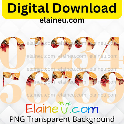 Thanksgiving numbers clipart, peach tone with pumpkin pie, cranberries, turkey accents decorating the top of each number.  Thanksgiving numbers printable, numbers png, numbers jpg, numbers clipart